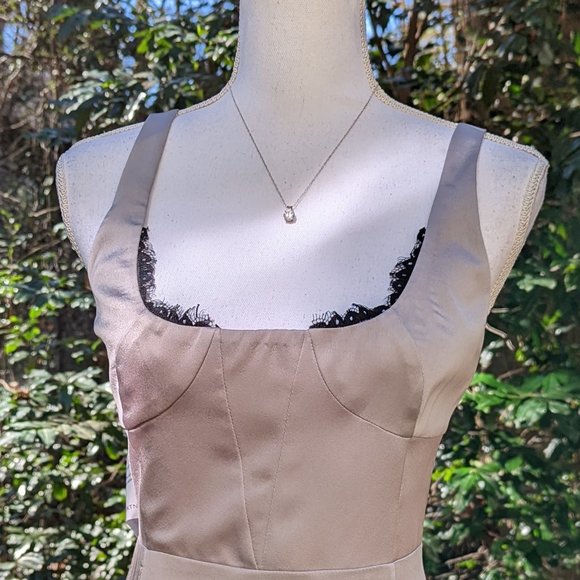 FAME and PARTNERS Silver Gray Gown in Satin and Black Lace Size 12 Brand New - Picture 7 of 9